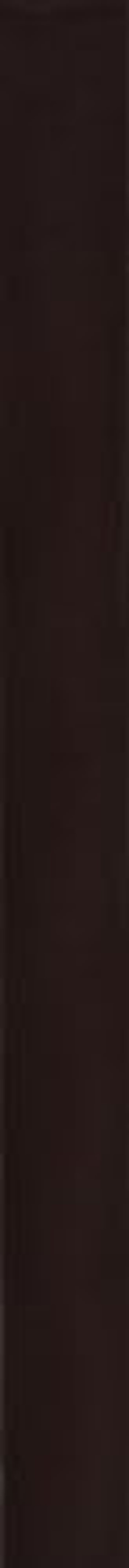 wet n wild Ultimate Eyebrow Retractable Definer Pencil, Dark Brown, Dual-Sided, Fine Tip, Shapes, Defines, Fills Brows Makeup (Pack of 2)