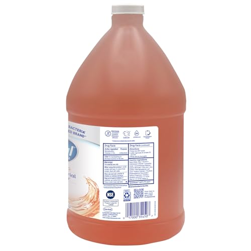 Dial Professional Original Antibacterial Defense Foaming Hand Wash, 1 Gallon Refill Bottle, 128 Fl Oz