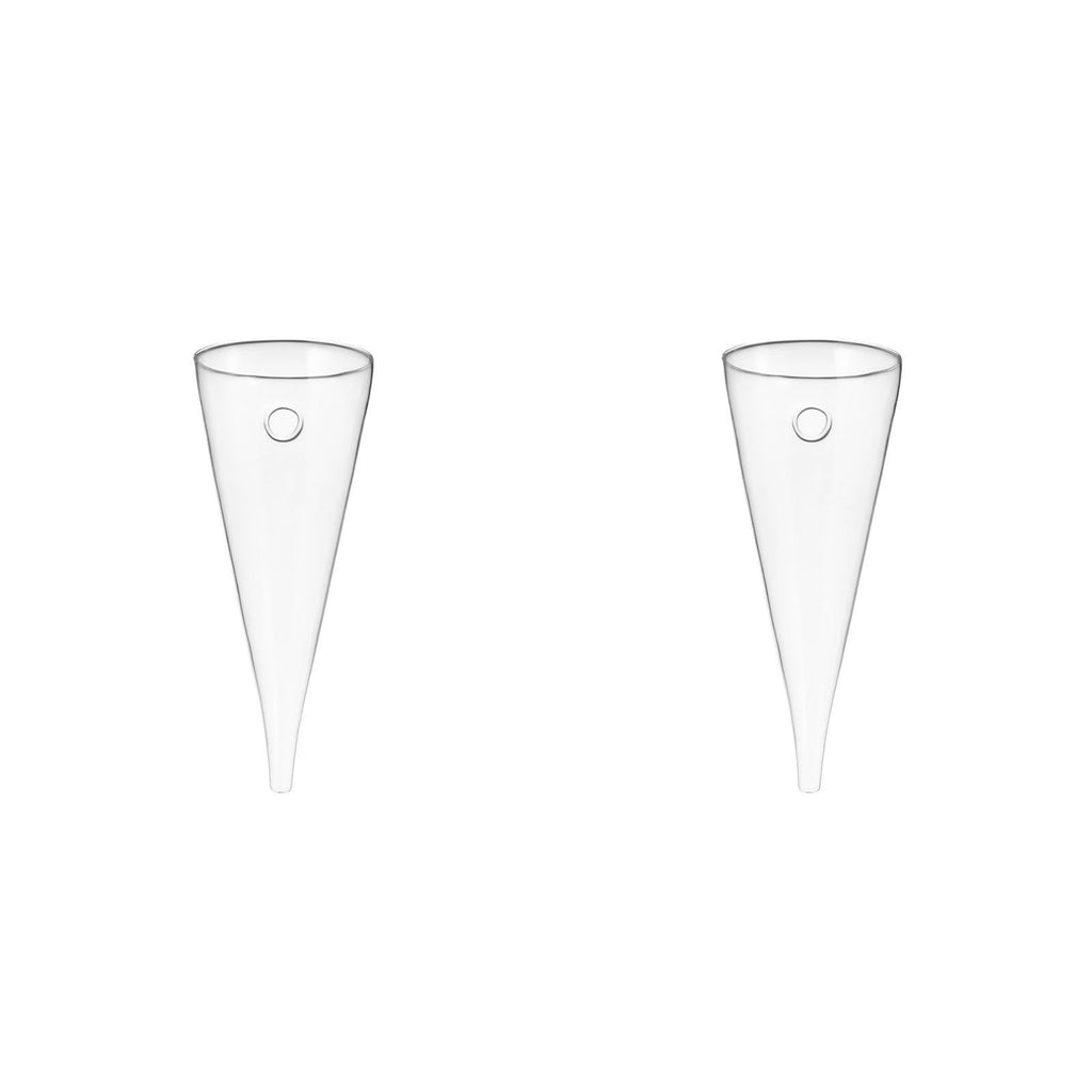 Healeved Transparent Circular Cone Glass Vase, Wall Mounted Plant Propagation Station, Ideal Mother's Day Gift, 20.50 cm (H) x 9.00 cm (Diameter)