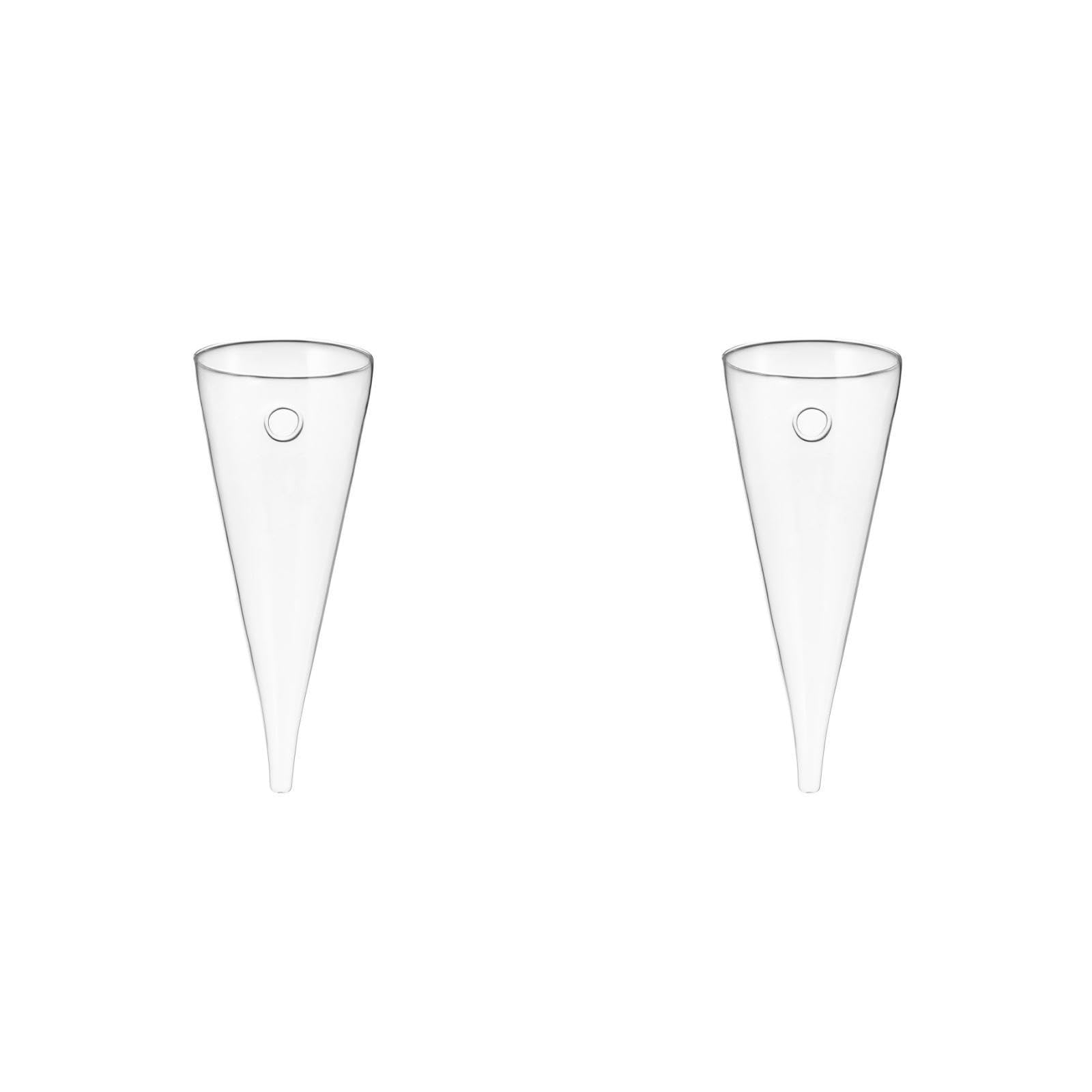 Healeved Transparent Circular Cone Glass Vase, Wall Mounted Plant Propagation Station, Ideal Mother's Day Gift, 20.50 cm (H) x 9.00 cm (Diameter)