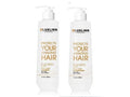Luxliss Keratin Daily Care Shampoo and Conditioner Set, 2 Pack (16 Fl Oz each), Moisturizing, Anti-frizz, Repairing, for Chemically Treated Hair, Argan Oil