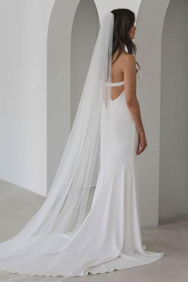 Bmirth Cathedral Wedding Veil Long Veil White Bridal Veil 118" Length Veils for Women (Ivroy veils)