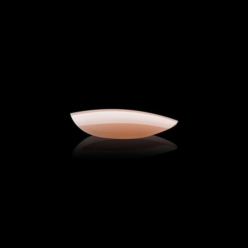 Apres Neutrals Gel-X Alex Box Of Nail Tips, 11 Sizes 00-9, Soft Gel Nail Tip Box, Nail Extensions (150pcs) (Natural Round Short, 150pcs)