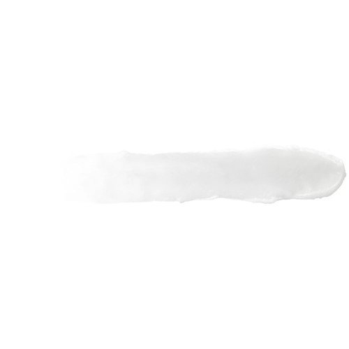 Burt's Bees Lip Balm - Ultra Conditioning with Kokum Butter | 0.15 oz (Pack of 6)