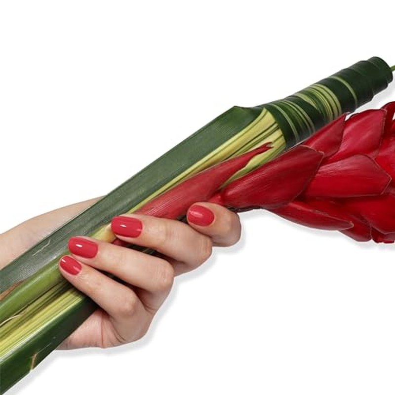 LONDONTOWN Blush Red Crème Nail Polish, Flushed Cheeks lakur, Vegan Chip-Resistant Long-Lasting Nail Lacquer, 40 fl oz (Pack of 2)