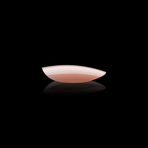 Apres Neutrals Gel-X Lila Box Of Nail Tips, 11 Sizes 00-9, Soft Gel Nail Tip Box, Nail Extensions (150pcs) (Natural Round Short, 150pcs)