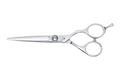 Cricket S2 Elite Series Shears 600 Professional Hair Cutting Scissors - 6-Inch Barber & Stylist Hair Scissors with Convex Edge Blades, Durable Swedish Steel, Leaf Spring Tension, Hand-Polished Finish