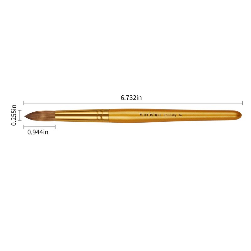 varnishea Kolinsky Acrylic Nail Brush Golded Solid Wood Handle Professional Manicure Brushes for Powder Nail Acrylic Application - Salon & DIY Nail Art Essentials - Size 16, 1.0 Count