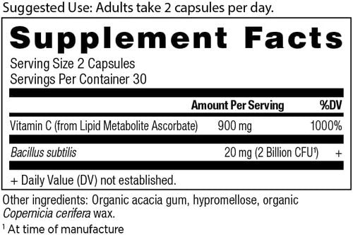 Ancient Nutrition Probiotics & Vitamin C Supplement - Supports Immune & Gut Health | 30 Servings, Non-GMO