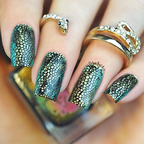 Winstonia 20 pc Nail Art Stamp Stamping Image Plate Set, Manicure Pedicure - First Generation