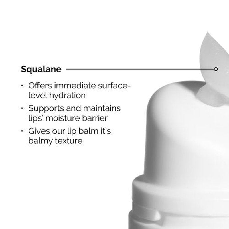 The Ordinary Lip Care Duo - Exfoliating Lip Serum & Hydrating Lip Balm Set | 0.5 Fl Oz