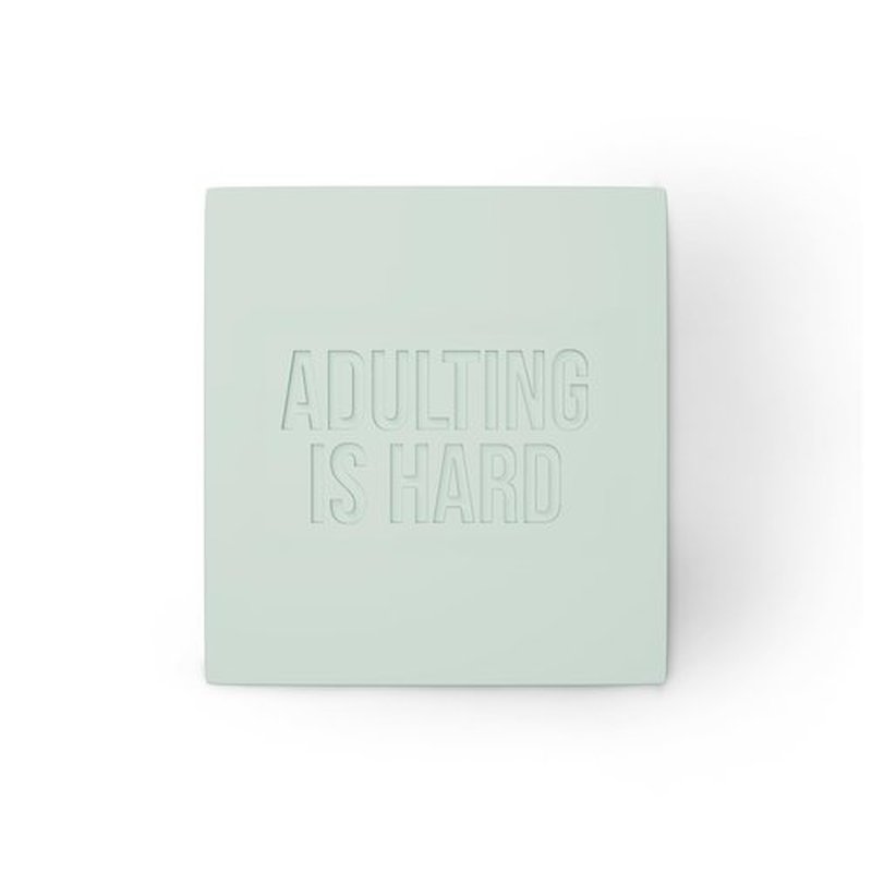 SendNonsense Funny Gift Soap – Adulting Is Hard Joke Soap | Prank & Novelty Gift for Adults | Prank Coworker, April Fool's Prank, Office Humor Gift