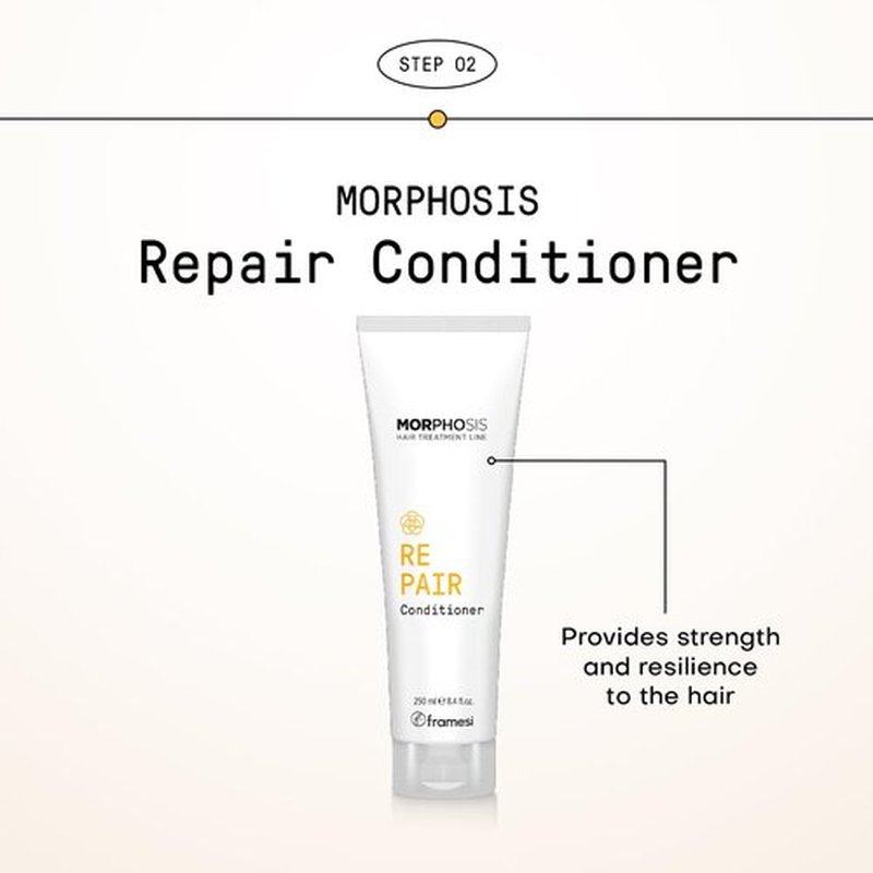 FRAMESI Morphosis Repair Rich Hair Treatment 8.4 fl oz