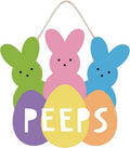 Regine Switzerland Easter Wreath - Cute Bunny Welcome Sign for Front Door Decor | Farmhouse Style