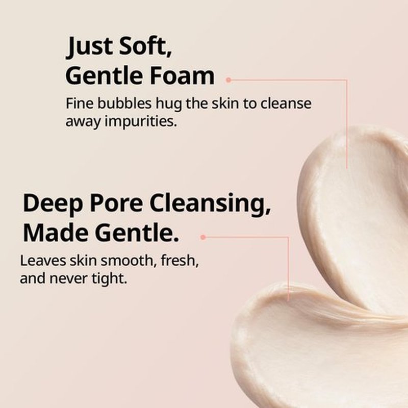 DINSEE Premium Vegan Microbiome Rice Foam Cleanser- Gentle Korean Rice Face Wash, Vegan Face Cleanser, Daily Facial Cleanse, Makeup remover, Reduce Sebem, 150ml / 5.07fl.oz