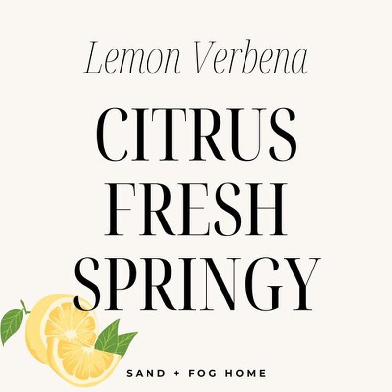 Sand + Fog Lemon Verbena- Scented Liquid Hand Soap - Moisturizing Hand Soap - Made with Aloe - Paraben Free - 20 oz