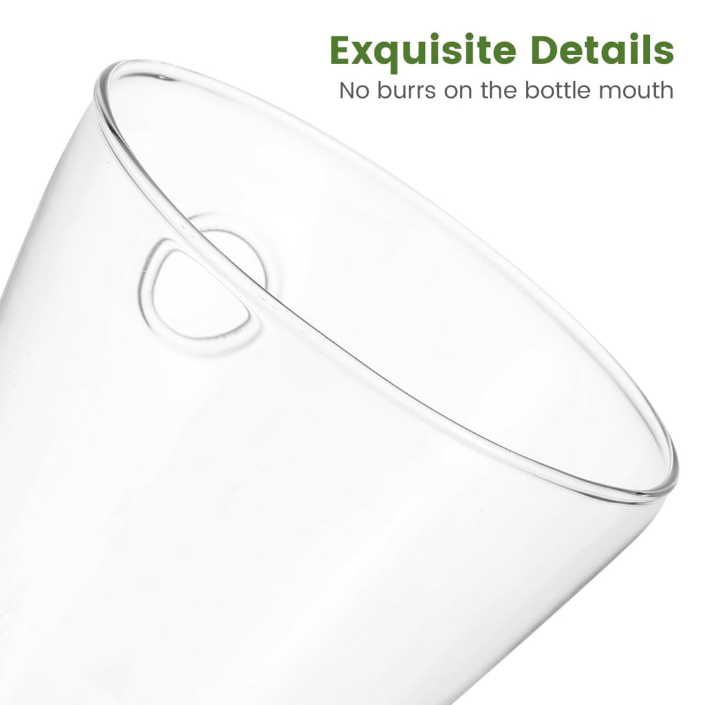 Healeved Transparent Circular Cone Glass Vase, Wall Mounted Plant Propagation Station, Ideal Mother's Day Gift, 20.50 cm (H) x 9.00 cm (Diameter)