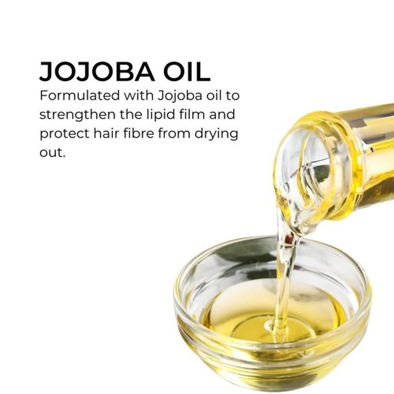 PHYTO NOURISHMENT Nourishing Shampoo - Hydrating Jojoba Oil Formula for Dry Hair, Sulfate Free