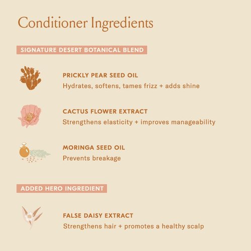 DAE Signature Duo Set (Shampoo & Conditioner)