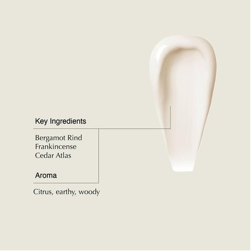 Aesop Conditioner - Nourishing Formula for All Hair Types | Hydrates & Softens | Citrus, Earthy, Woody | 16.9 oz / 500mL