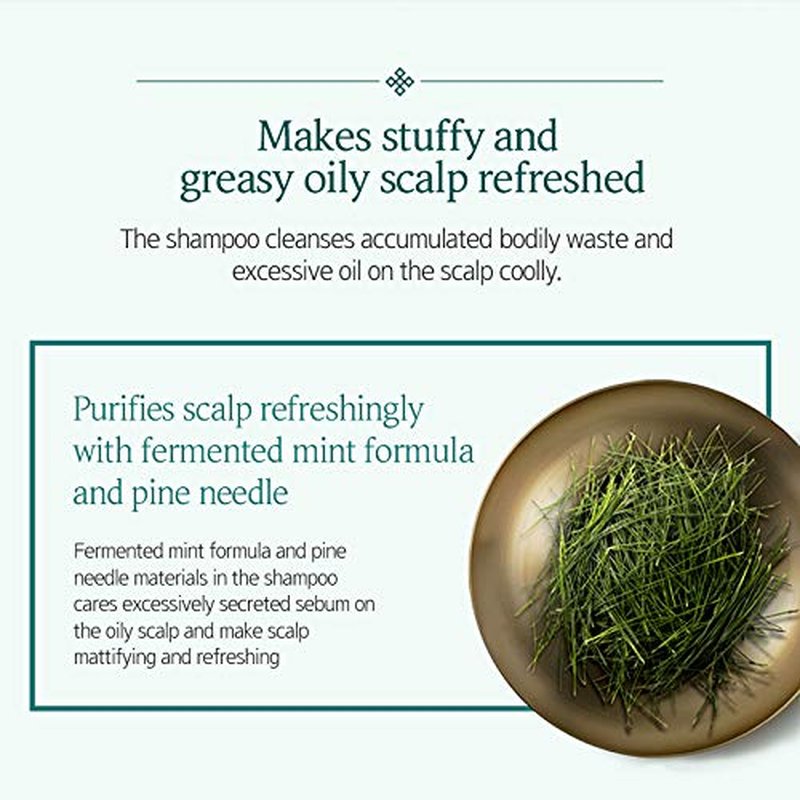 Ryo Scalp Deep Cleansing & Cooling Conditioner 500ml (16.9oz) Excess sebum care, For smelly scalp, Fermented mint and other natural ingredients, Anti- Dandruff treatment