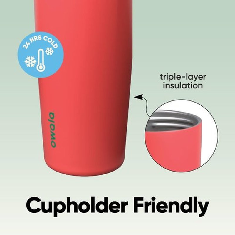 Owala FreeSip 40oz Insulated Stainless Steel Water Bottle - Two-Way Spout & Built-In Straw, Leak Proof, Strawberry Fields