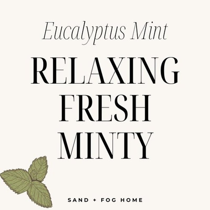 Sand + Fog Eucalyptus Mint - Scented Liquid Hand Soap - Moisturizing Hand Soap - Made with Aloe - Paraben Free- 20 oz