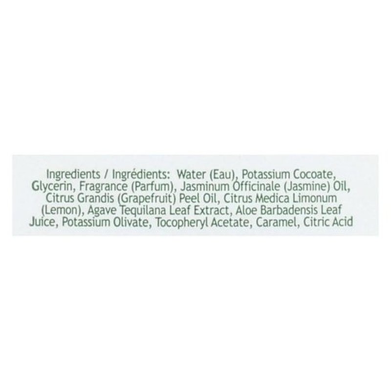 South Of France Foaming Hand Wash With Hydrating Organic Agave Nectar & Blooming Jasmine 8 Oz