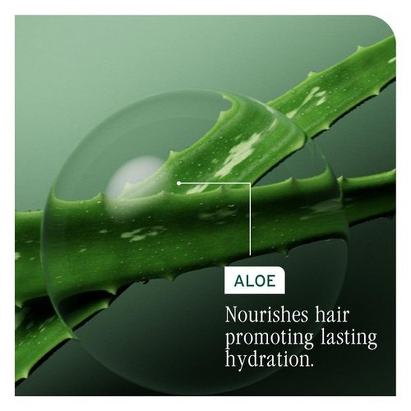 Biolage Winter Rescue Kit - Hydra Source and Strength Cure Mini Shampoo, Conditioner and Scalp Sync Concentrate, Hydrates and Repairs Damage, For Healthy Scalp And Strong Hair