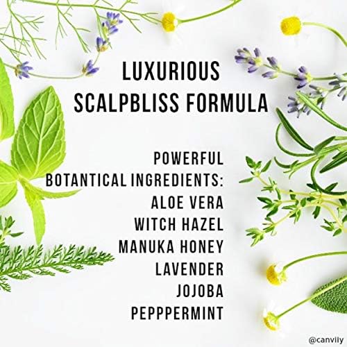 Canviiy ScalpBliss Itch-Calming Serum, Long-Lasting Soothing Scalp Moisturizer for Dry itchy Scalp, Enriched with Aloe Vera, Witch Hazel, Manuka Honey and Peppermint Oil (Natural Based)