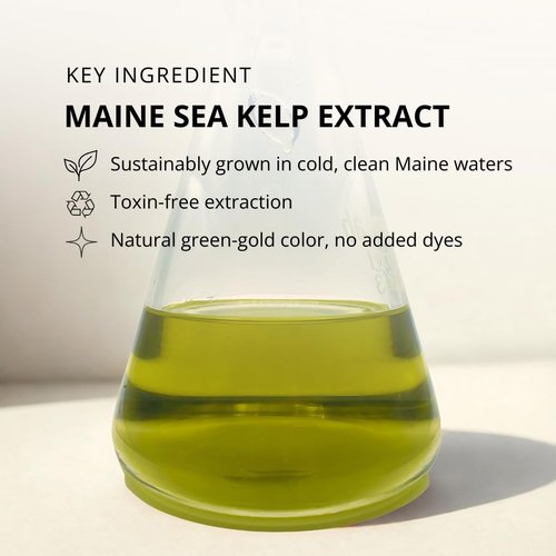 KelpGlow Facial Oil with Kelp Extract - Fragrance Free - Nourishing Face Oil for Glowing Skin - Clean & Natural Ingredients, Non-Greasy Formula - 10ml/0.34oz