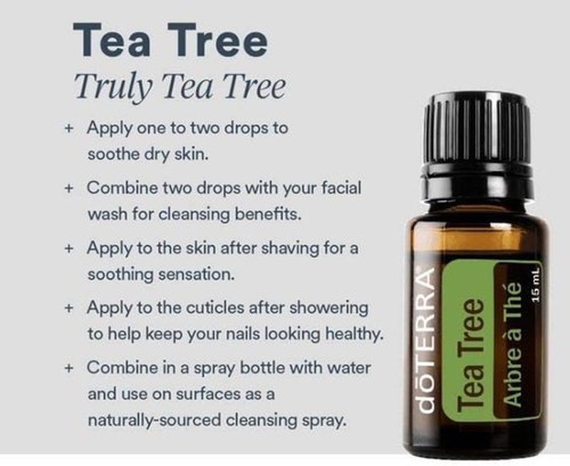 doTERRA Melaleuca Essential Oil - 15 ml | Therapeutic Grade, 2-Pack for Natural Wellness