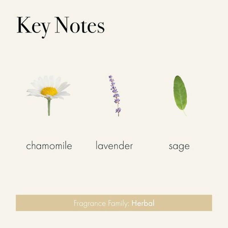 LAFCO New York Liquid Soap - Chamomile Lavender - 12 oz - Regenerates & Moisturizes - Hypoallergenic & Cruelty-Free