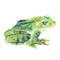 Fantasy Amphibians Animals Hair Clips,Acetate Hair Clips,Big Claw Clips for Women,Novelty Hair Clip (Green Frog)