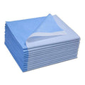 TIDI 356 Avalon Single-Use Medical Equipment Drape, Blue, 40" W x 60" L (Pack of 100) ― Disposable Stretcher Sheet ― Embossed ― 1-Ply Tissue ― Poly Back To Help Prevent Leak-Through ― Medical Supplies