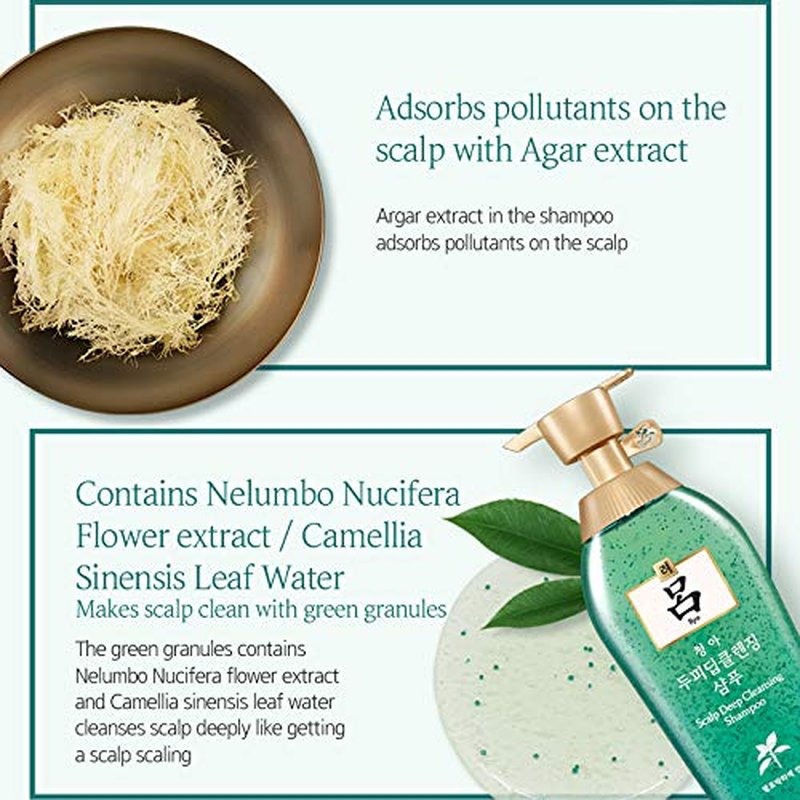 Ryo Scalp Deep Cleansing & Cooling Conditioner 500ml (16.9oz) Excess sebum care, For smelly scalp, Fermented mint and other natural ingredients, Anti- Dandruff treatment