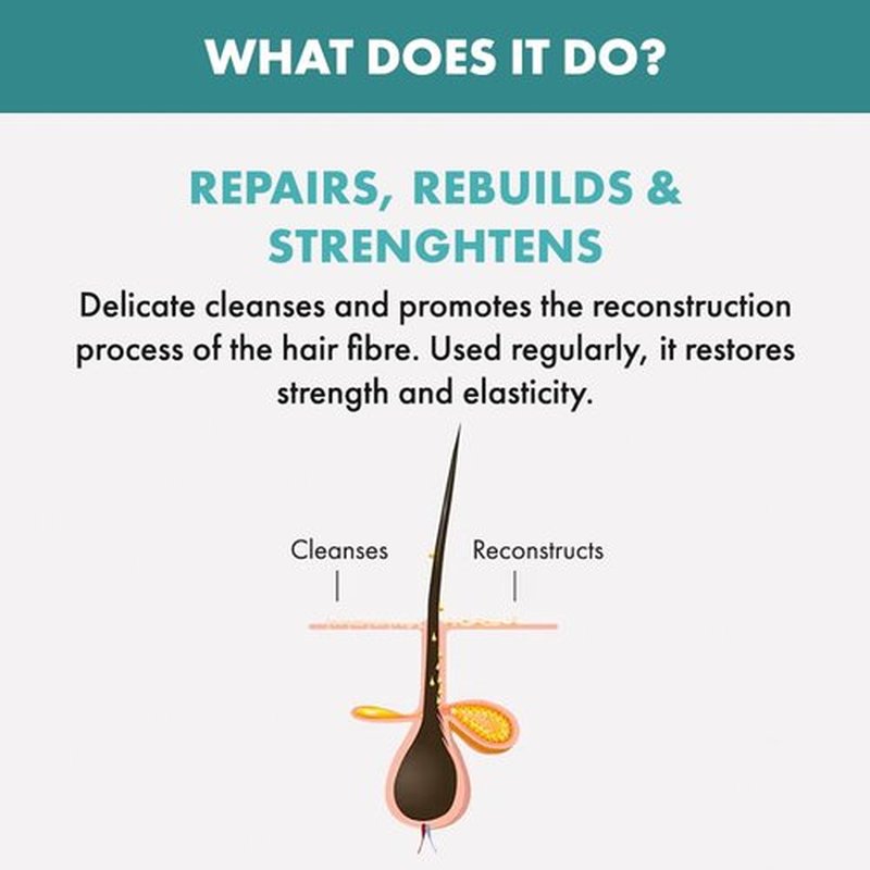 Alfaparf Milano Semi Di Lino Shampoo - Reparative Formula for Damaged Hair | Sulfate & Paraben Free