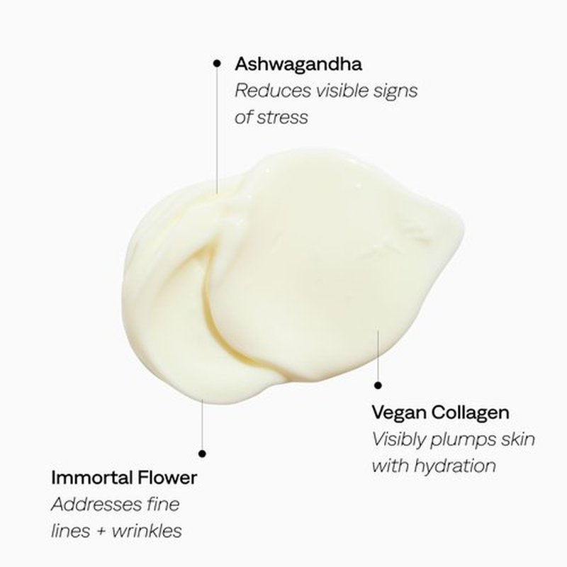 Provence Beauty Daydream Crème – Lightweight Face Moisturizer with Ashwagandha, Vegan Collagen & Immortal Flower – Hydrating Face Cream, Plumps & Balances Skin – 2 fl oz