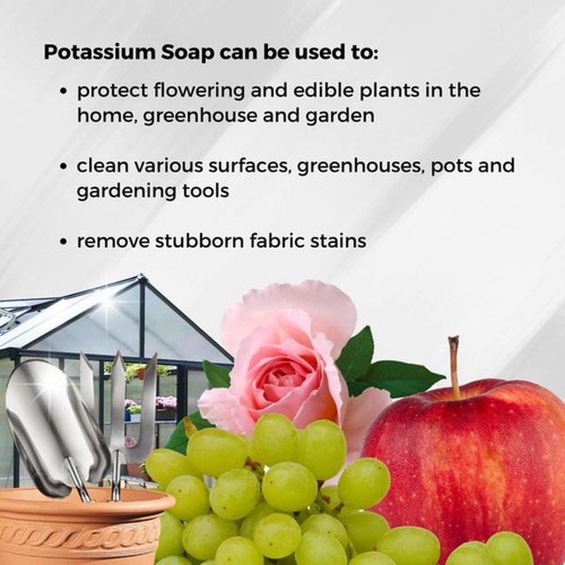 Ecoworm Organic Potassium Soap Concentrate – Plant-Based Horticultural Formula | Natural Potassium Soap for Plants & Garden Care | Concentrated Organic Soap for Dilution (34 fl oz)
