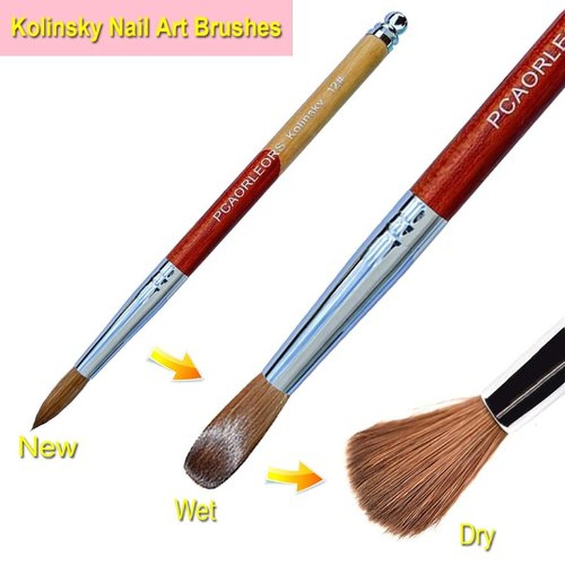 PCUORLEORS Acrylic Nail Brush Kolinsky with 100% Pure Mink Sable Hair and Wood Hand, Round Gel Brush for Acrylic Application Size # 8,10, 12, 14, 16,18,20 (size12)