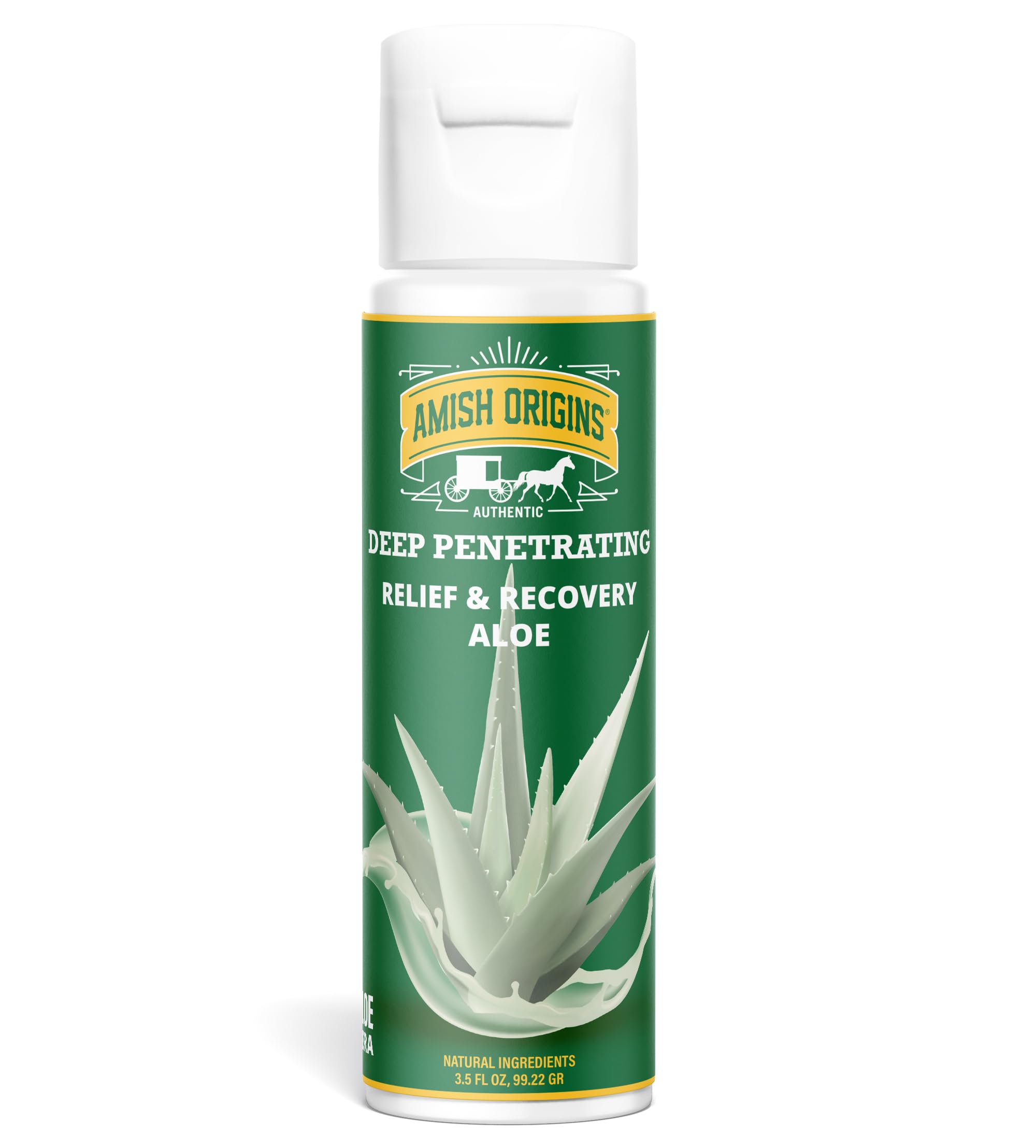 Amish Origins Deep Penetrating Joint & Muscle All Natural Therapy Aloe Cream 3.5 oz Pump, with Aloe for Sore Muscle Shooting, Mosquito Bites Itching