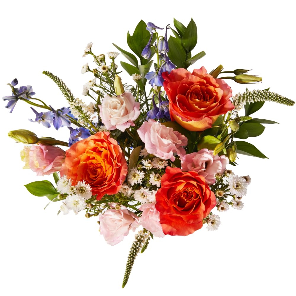 UrbanStems – The Juliet Bouquet (No Vase) – Fresh Flowers for Delivery – Gift for Birthday, Congratulations, Friendship, Thinking of You