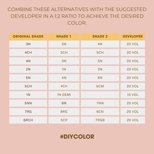 One N' Only Permanent Hair Color - Argan Oil Infused Dye for Rich, Accurate Gray Coverage - 2N Black (3 oz)