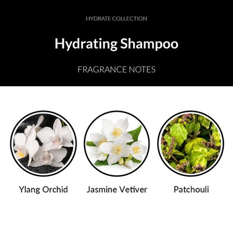 Number 4 Hydrating Shampoo - Sulfate-Free, Moisturizing & Color Protecting Formula | 25 oz