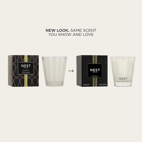 NEST New York Scented Classic Candle - Grapefruit Fragrance | 8.1 oz - Long-Lasting 60-Hour Burn Time