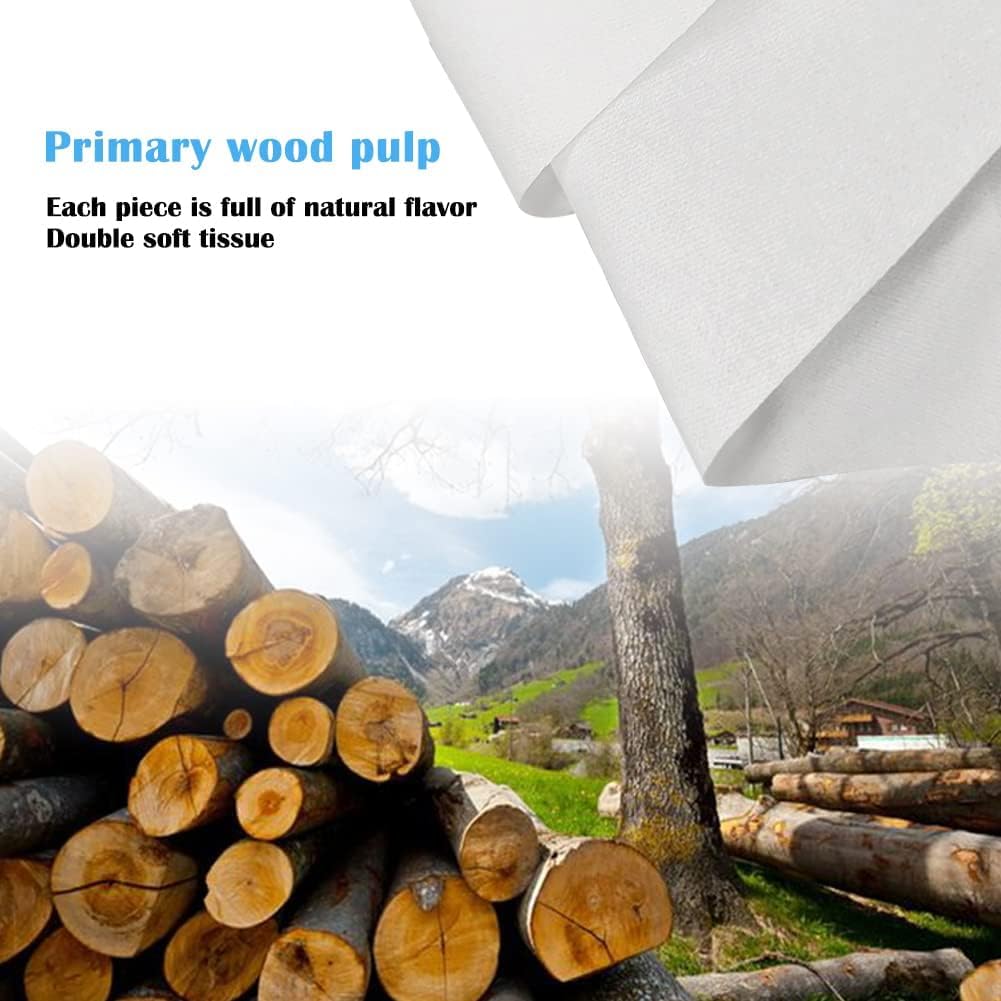 Cartisen Car Tissue Refills, Facial Napkin Refills for Car Visor Tissue Holder - 600 Sheets, 12 Packs (12 Pack)