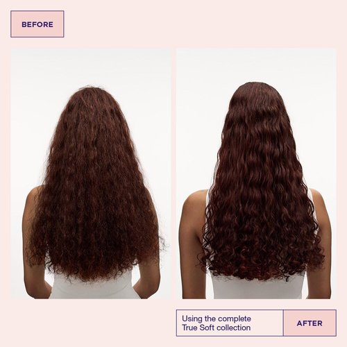 Maria Nila True Soft Conditioner - Moisturizing Argan Oil Formula for Dry, Brittle Hair | 100% Vegan & Sulfate-Free