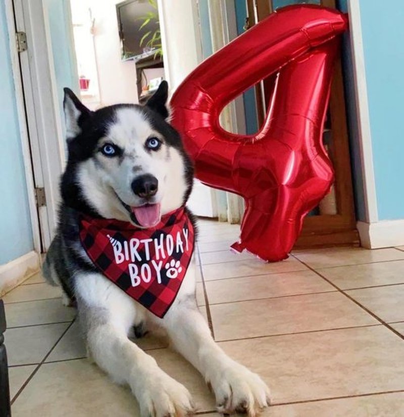 Red 40-Inch Number 8 Balloon by [Brand Name] - Perfect for 8th Birthday Parties, Weddings & Graduations