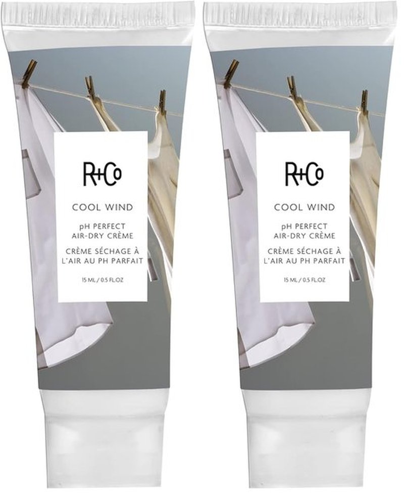 R+Co Cool Wind pH Perfect Air Dry Hair Cream - Hydrates, Tames & Softens Hair | Vegan & Cruelty-Free