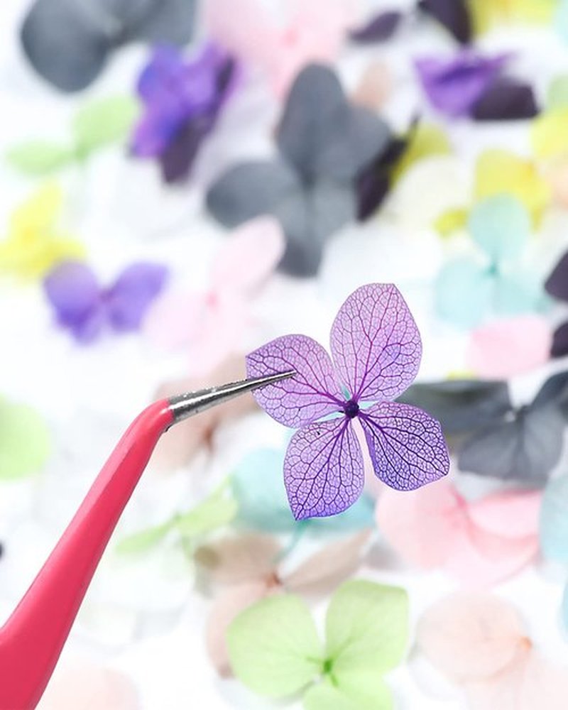 Dry Flowers for Nails,Dried Flowers for Nails,Naturaleza Muerta Flores para UñAs,Dried Hydrangea Flowers Nail Art Handmade Ornaments Decorative Dried Flowers Embossed Boxed Hydrangea Flowers